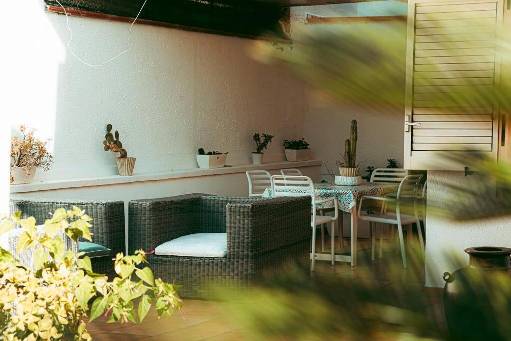 Sferracavallo - Garden *